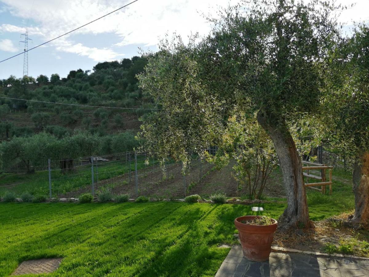 Agriturismo Oltrealmare Civezza Экстерьер фото